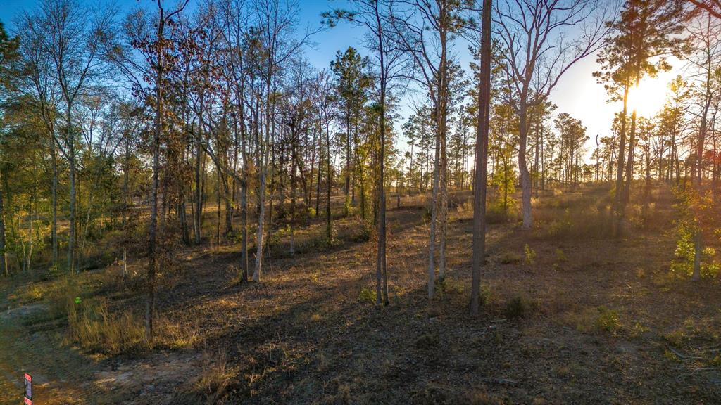 070 Western, Livingston, Texas image 15