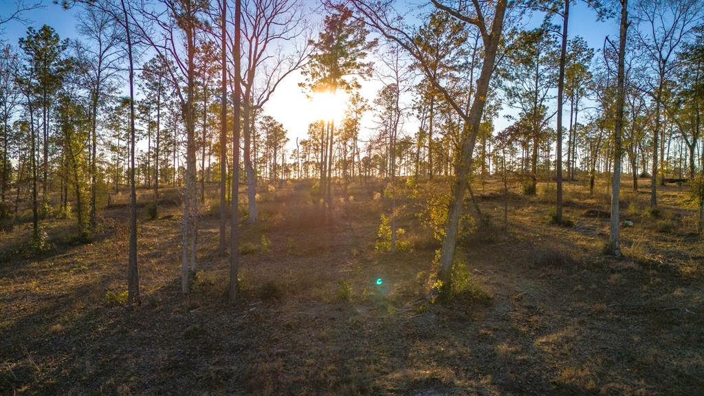 070 Western, Livingston, Texas image 14