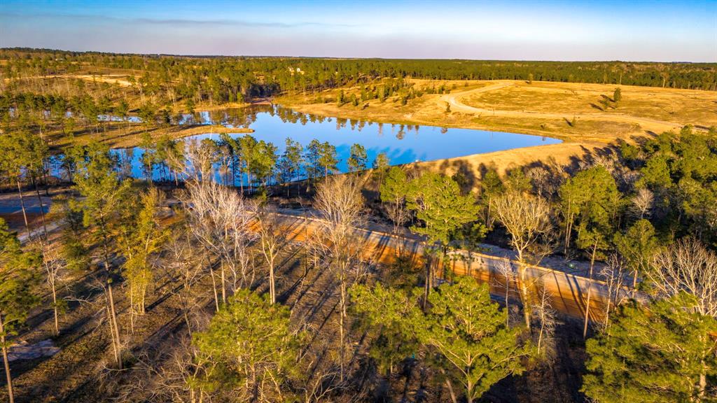 070 Western, Livingston, Texas image 11