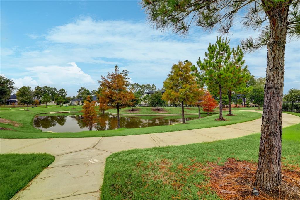 8143 Black Percher Street, Conroe, Texas image 41