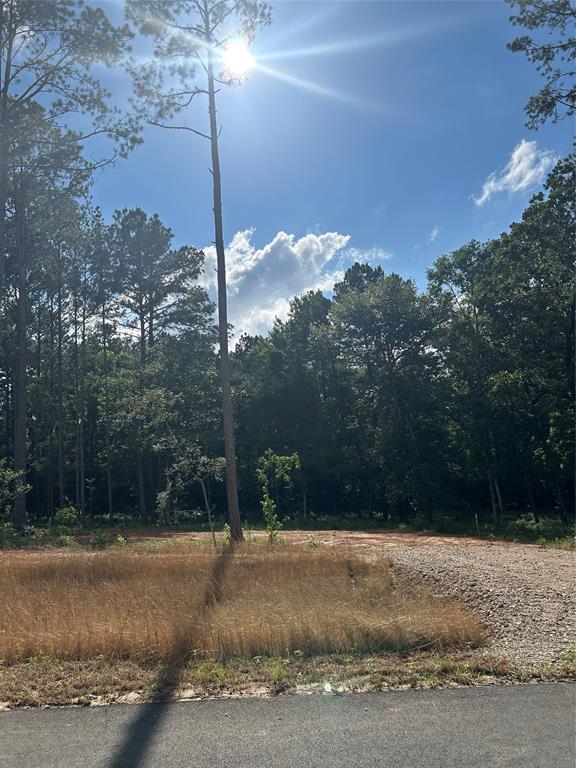 11345 Annie Creek Drive Dr, Willis, Texas image 1