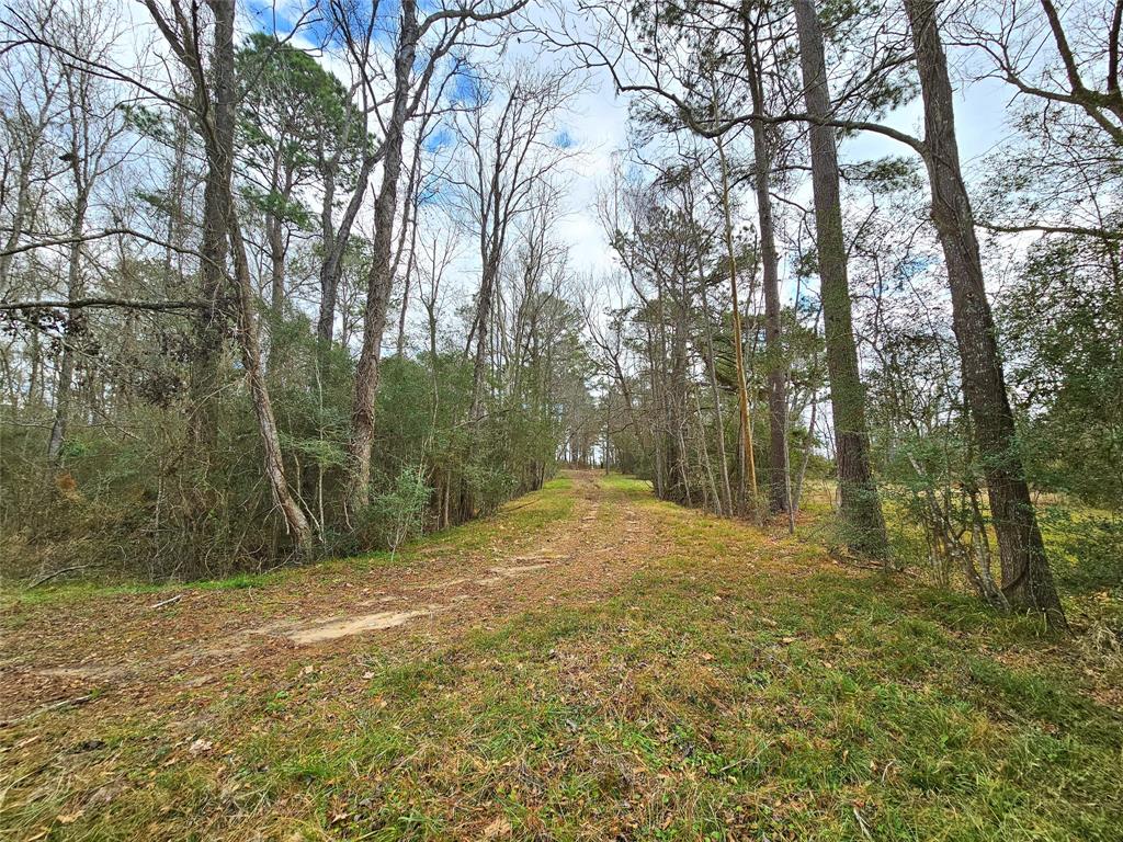 TBD County Road 2097, Liberty, Texas image 20