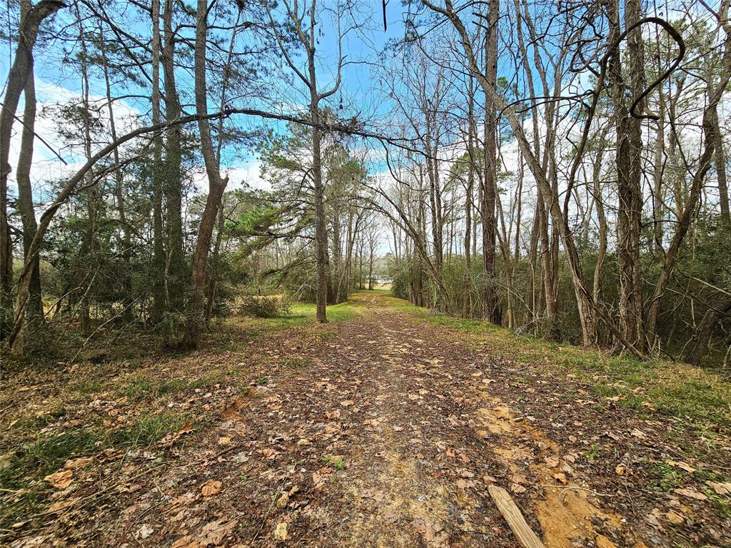 TBD County Road 2097, Liberty, Texas image 17