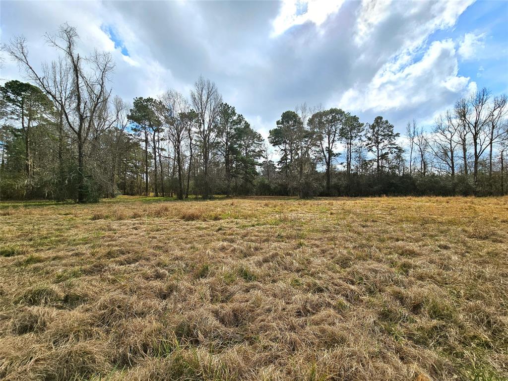 TBD County Road 2097, Liberty, Texas image 24