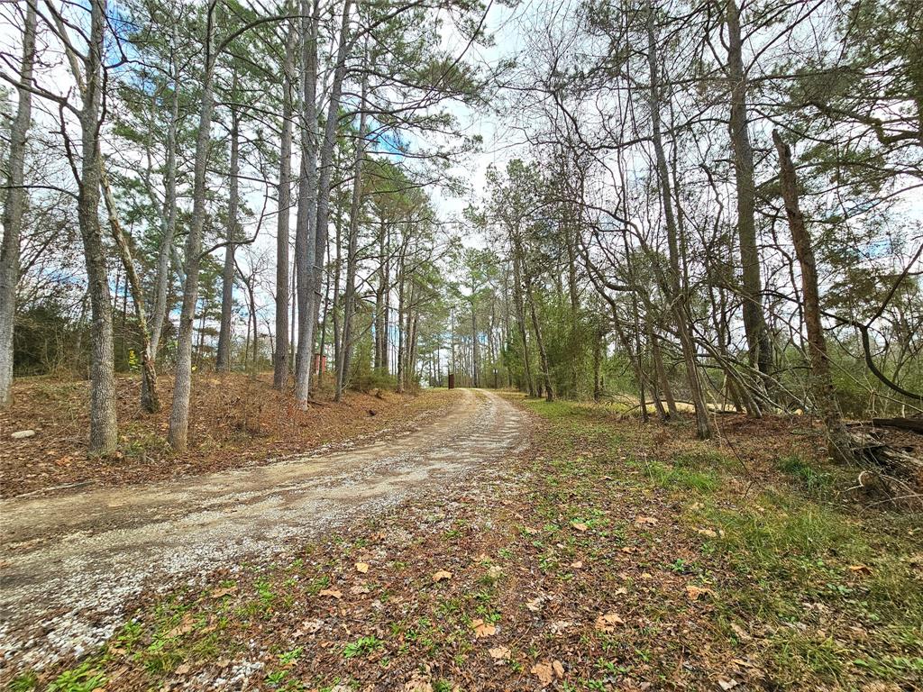 TBD County Road 2097, Liberty, Texas image 16