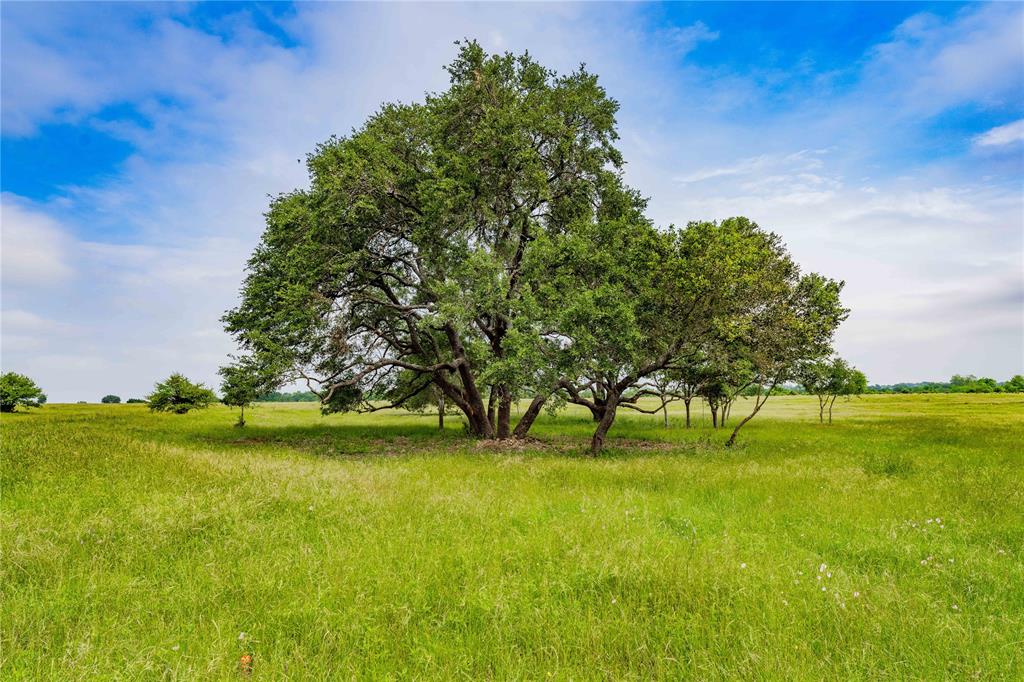 649 Fm 1291, Round Top, Texas image 5