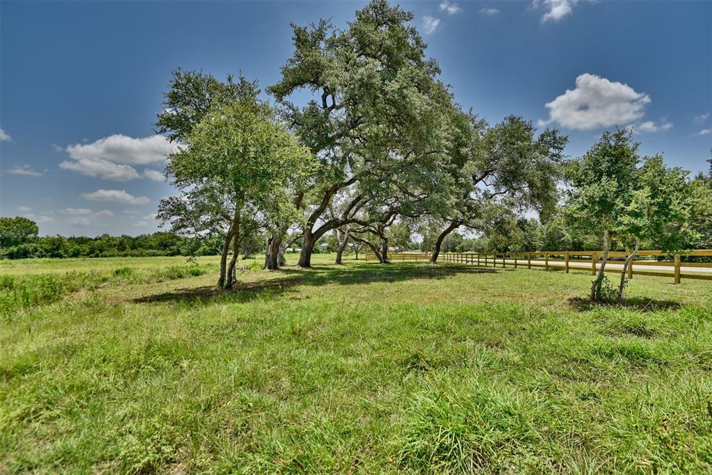 649 Fm 1291, Round Top, Texas image 3