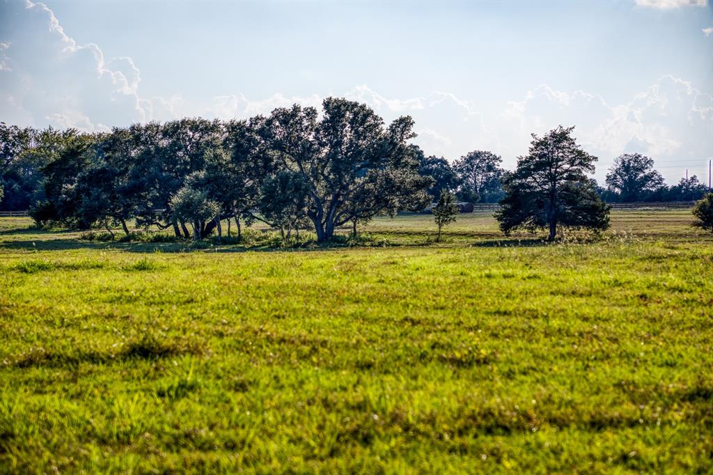 649 Fm 1291, Round Top, Texas image 16