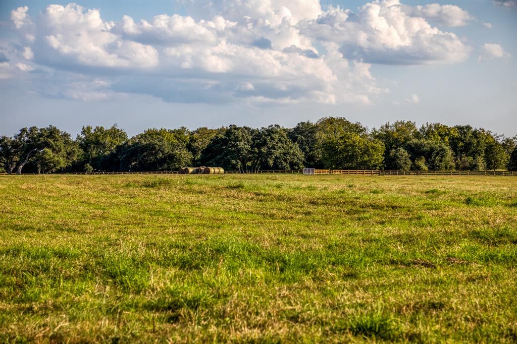 649 Fm 1291, Round Top, Texas image 8