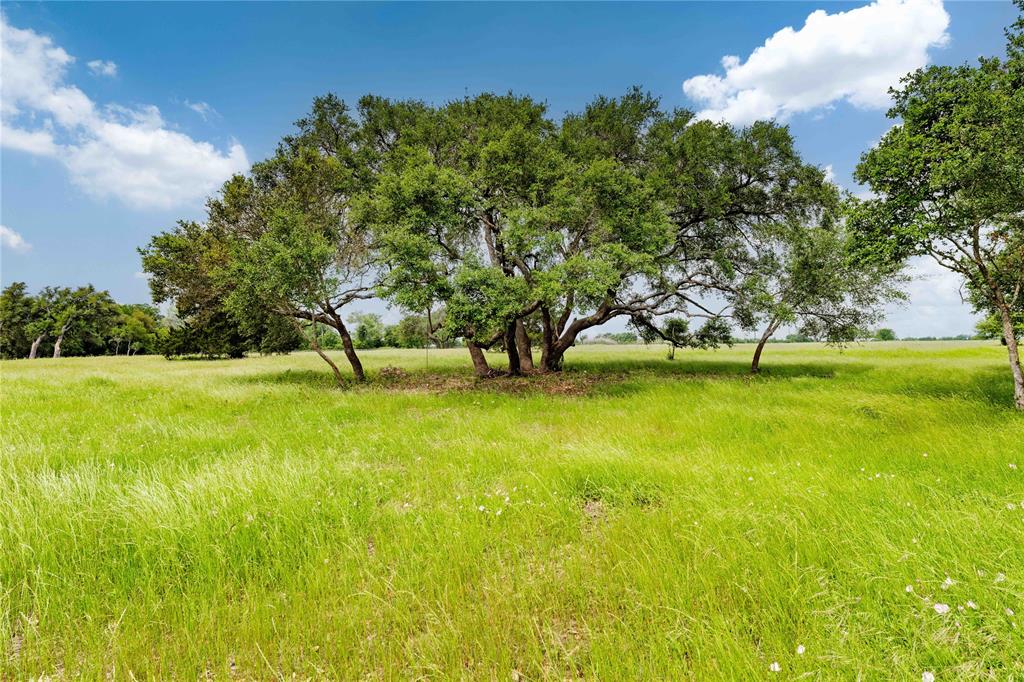 649 Fm 1291, Round Top, Texas image 2