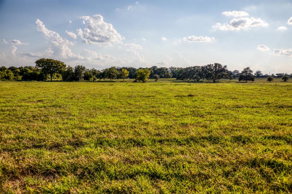 649 Fm 1291, Round Top, Texas image 17