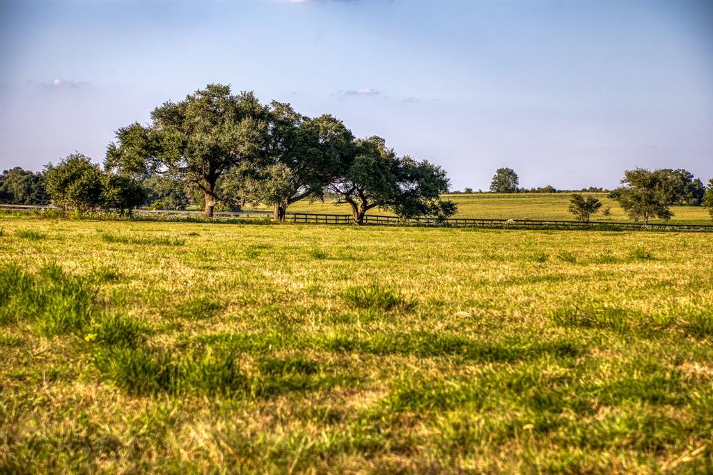 649 Fm 1291, Round Top, Texas image 9