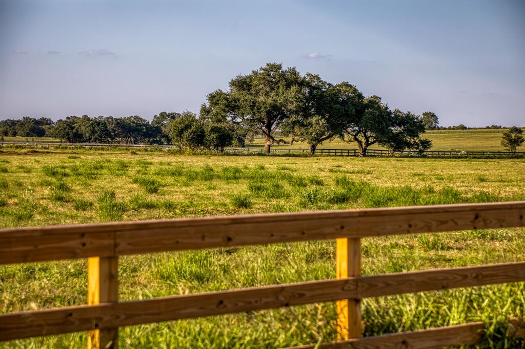 649 Fm 1291, Round Top, Texas image 13