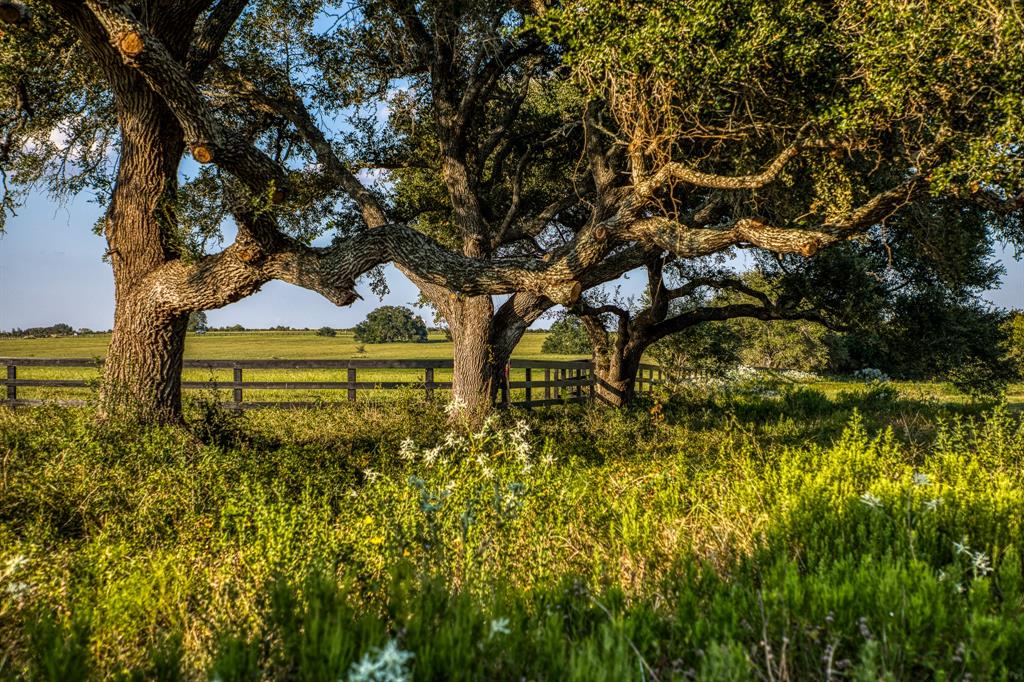 649 Fm 1291, Round Top, Texas image 10