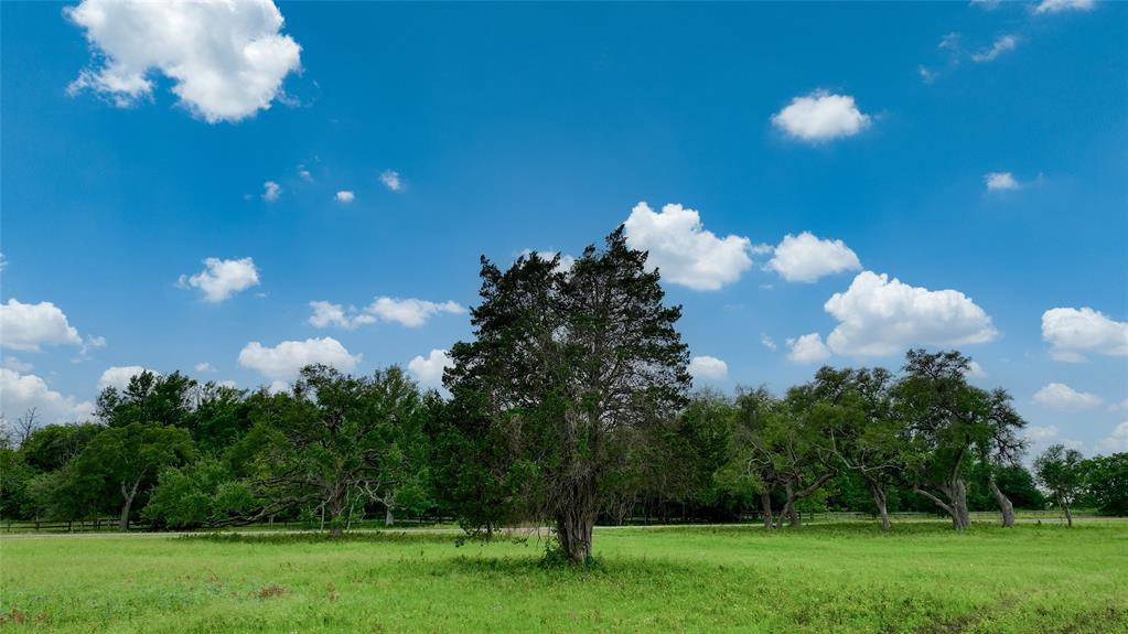 649 Fm 1291, Round Top, Texas image 14