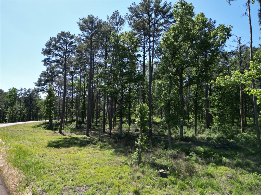 Lot 22 Pr 1313, Centerville, Texas image 25