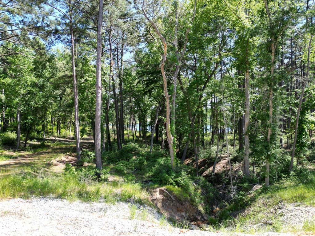 Lot 22 Pr 1313, Centerville, Texas image 14