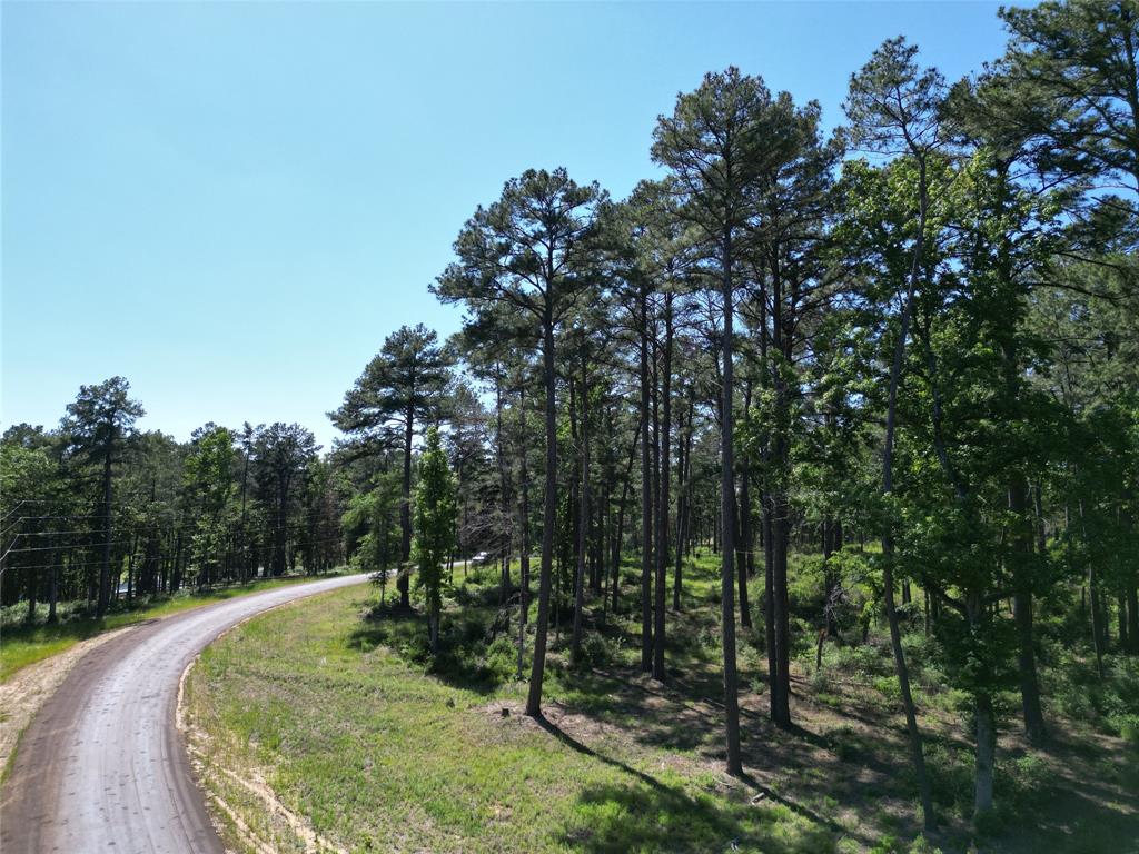 Lot 22 Pr 1313, Centerville, Texas image 28