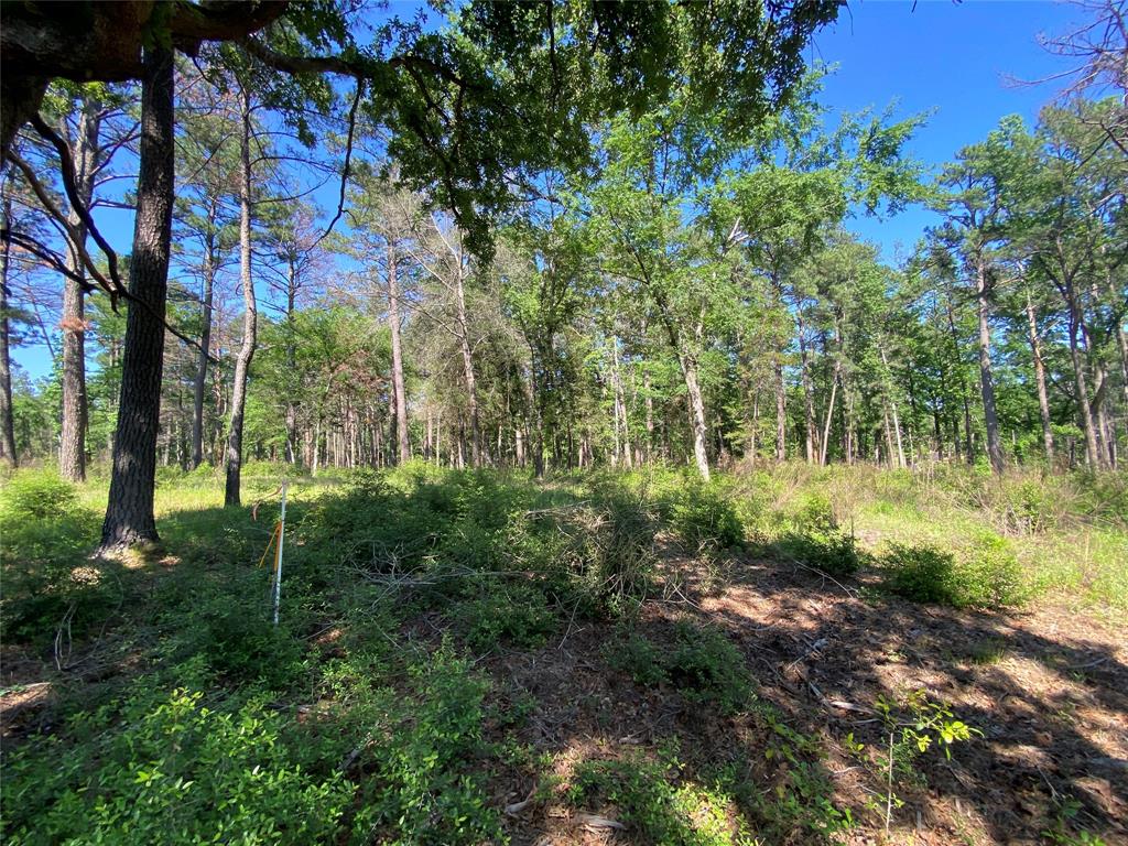 Lot 22 Pr 1313, Centerville, Texas image 45