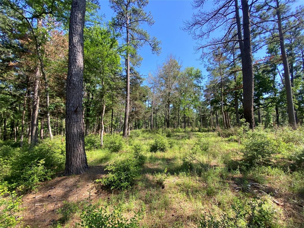 Lot 22 Pr 1313, Centerville, Texas image 43