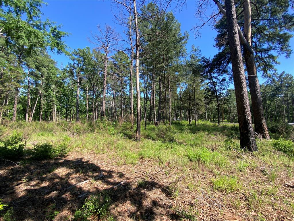 Lot 22 Pr 1313, Centerville, Texas image 46