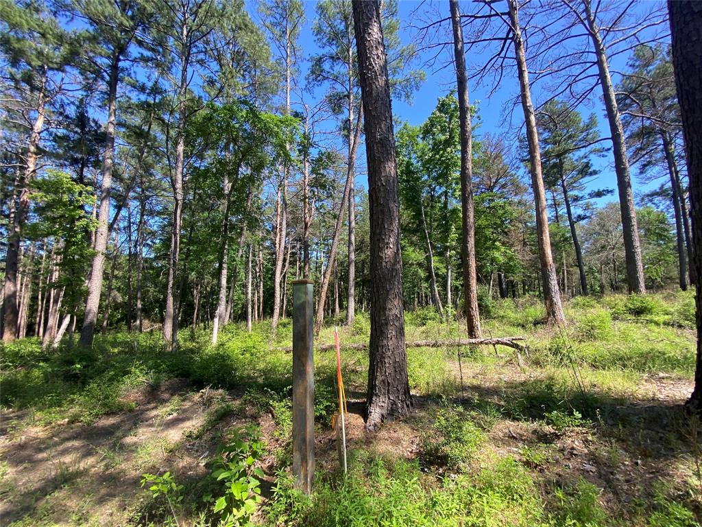 Lot 22 Pr 1313, Centerville, Texas image 42