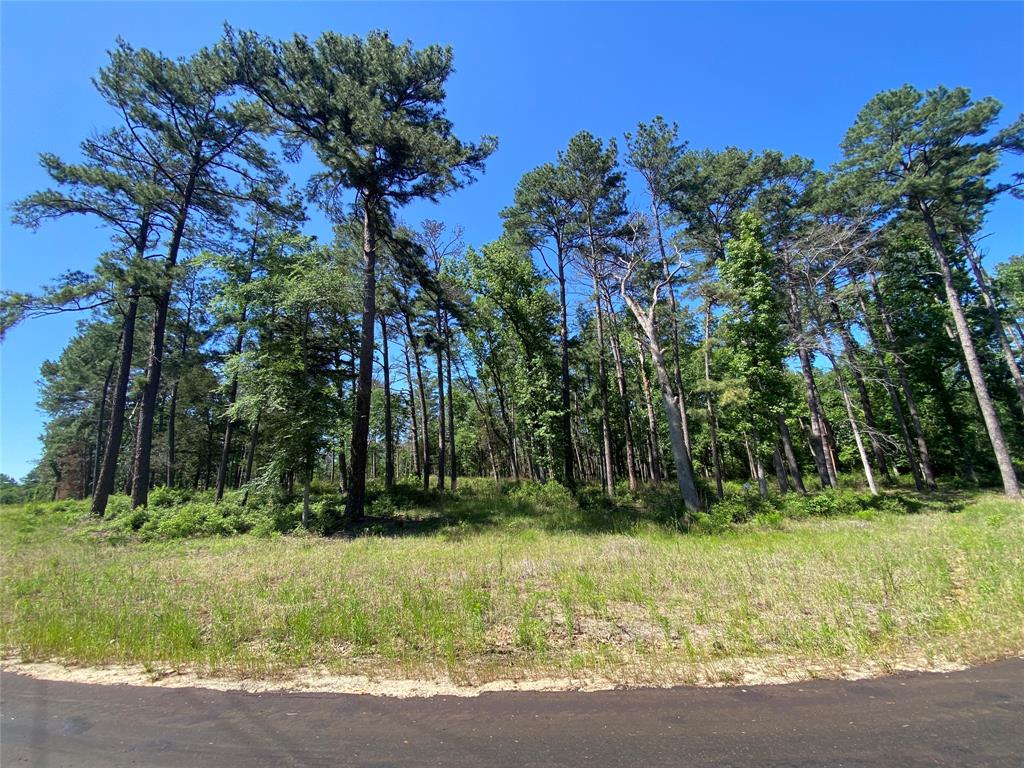 Lot 22 Pr 1313, Centerville, Texas image 38