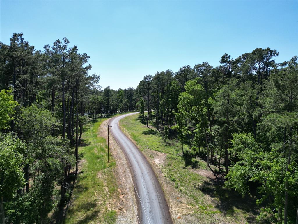 Lot 22 Pr 1313, Centerville, Texas image 4