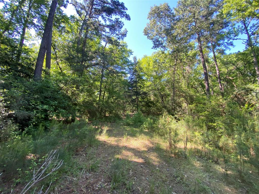 Lot 22 Pr 1313, Centerville, Texas image 39