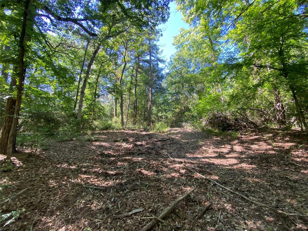 Lot 22 Pr 1313, Centerville, Texas image 13