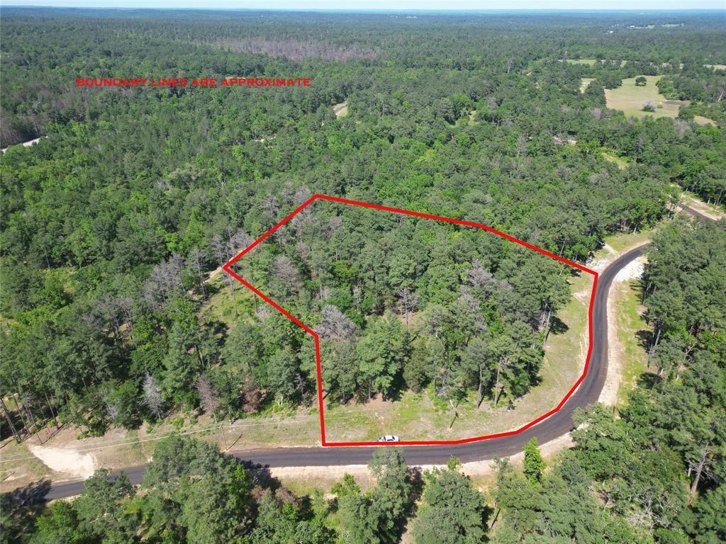 Lot 22 Pr 1313, Centerville, Texas image 29