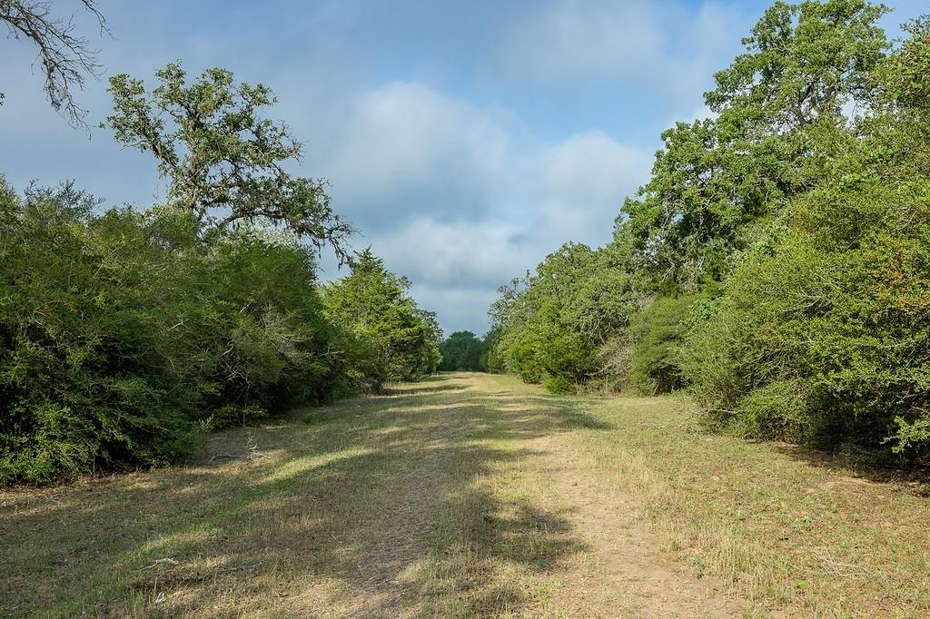 TBD County Road 132