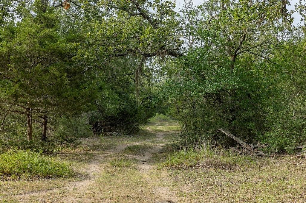 TBD County Road 132
