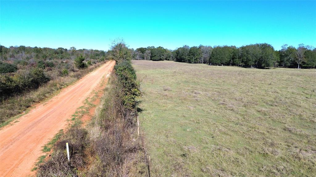 1194 County Road 2260, Grapeland, Texas image 3