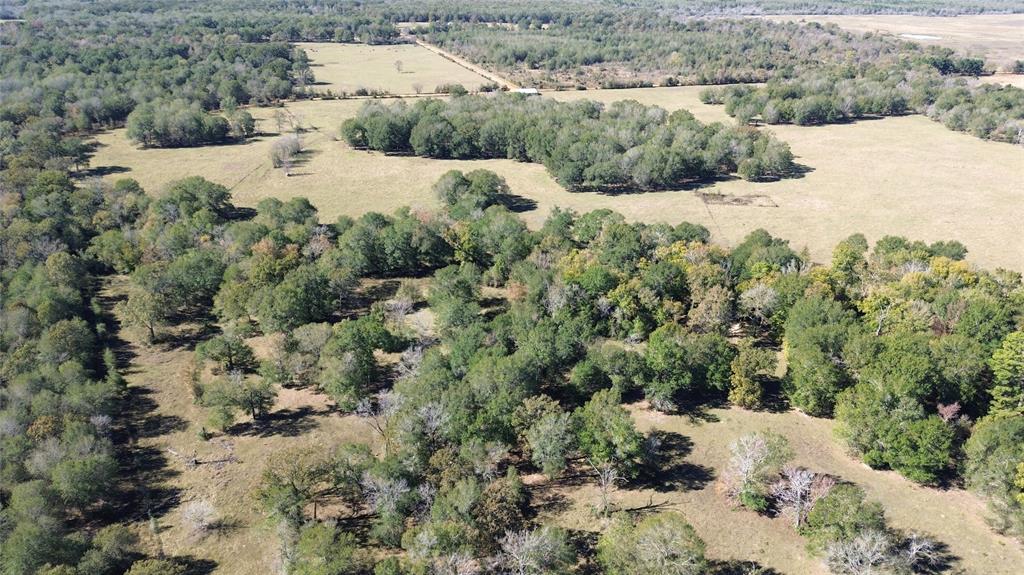 1194 County Road 2260, Grapeland, Texas image 8