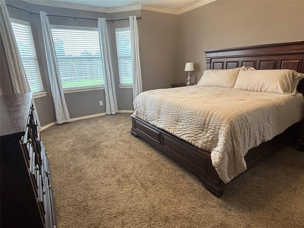 2896 Aurelia Lane, League City, Texas image 10