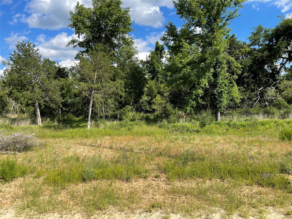 Lot 23 Pr 4172, Marquez, Texas image 10