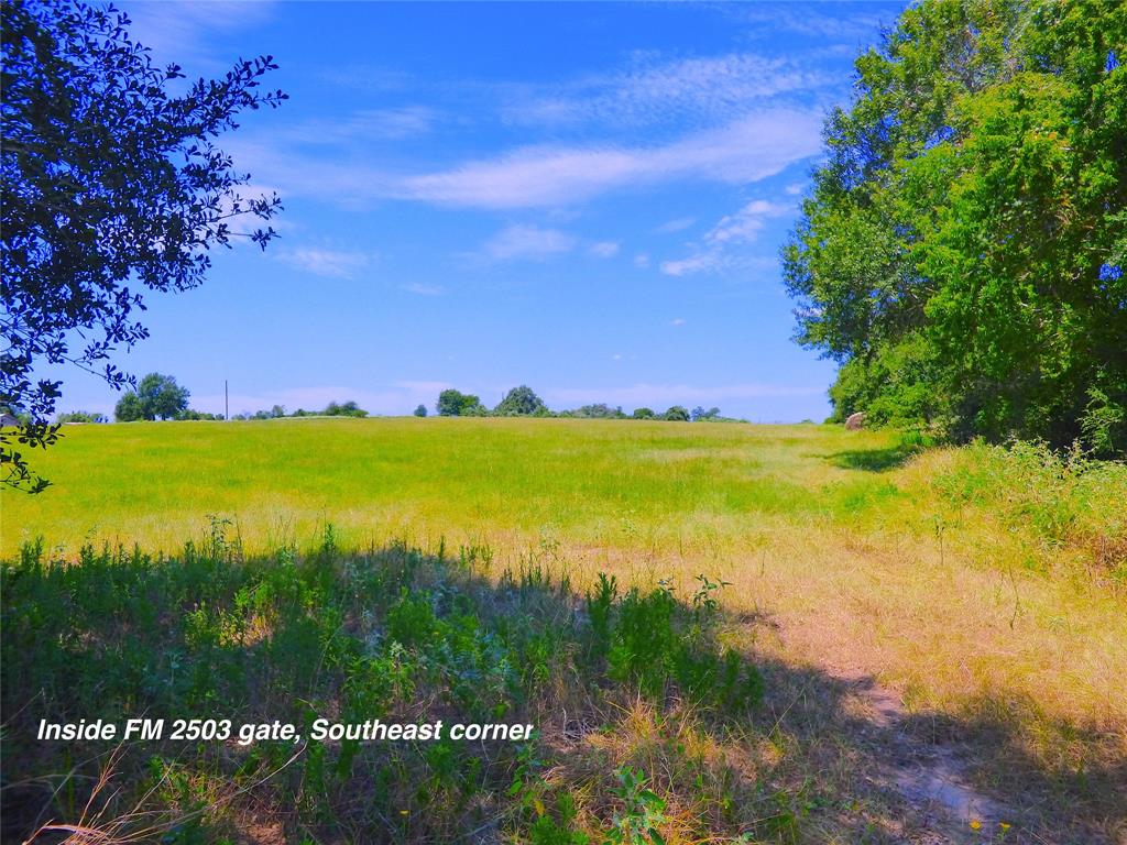 0 TBD Fm 2503 Road