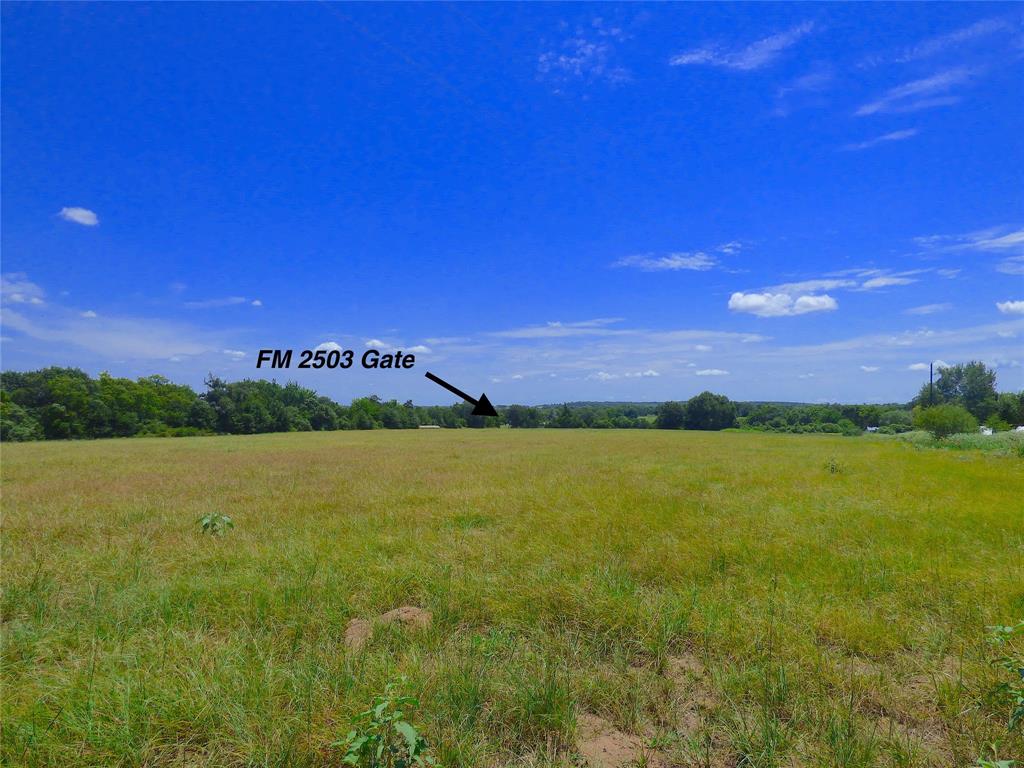 0 TBD Fm 2503 Road