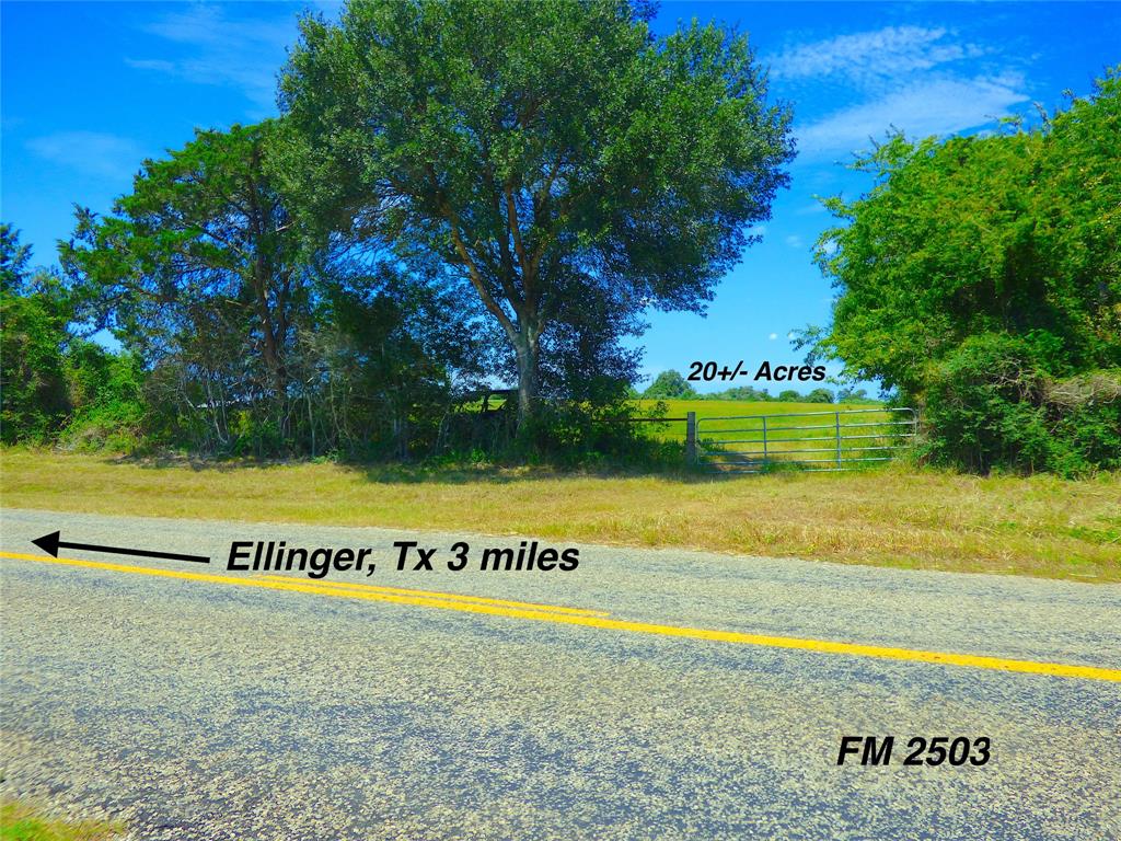 0 TBD Fm 2503 Road
