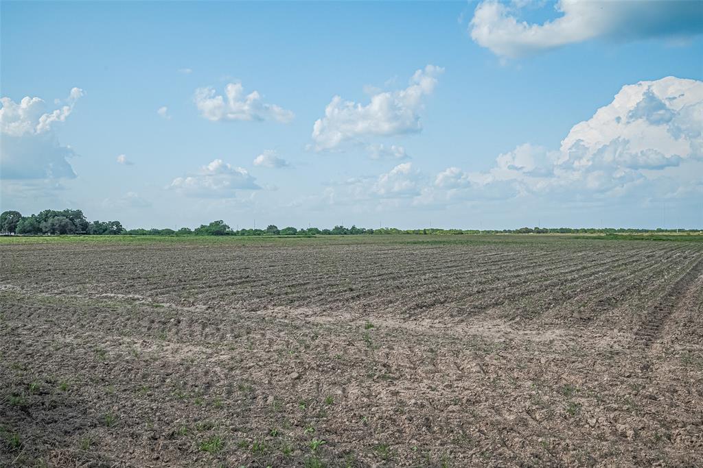 00 Johnston Rd, Wallis, Texas image 8