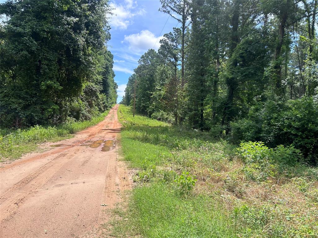 3948 Fm 1990, Palestine, Texas image 11