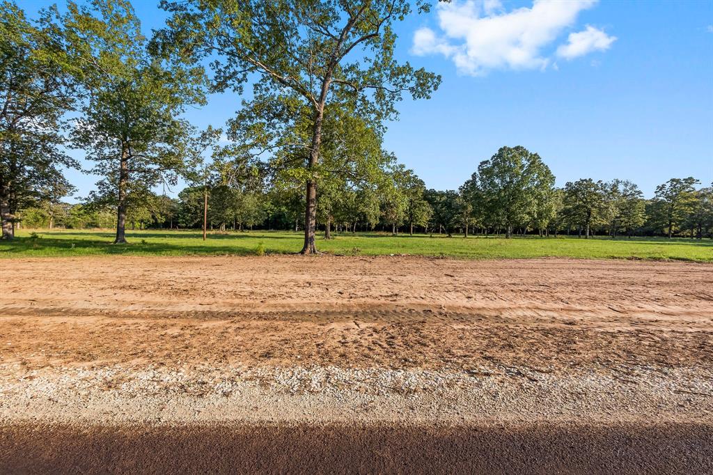 Lot 17 Alans Memorial Lane, New Waverly, Texas image 2