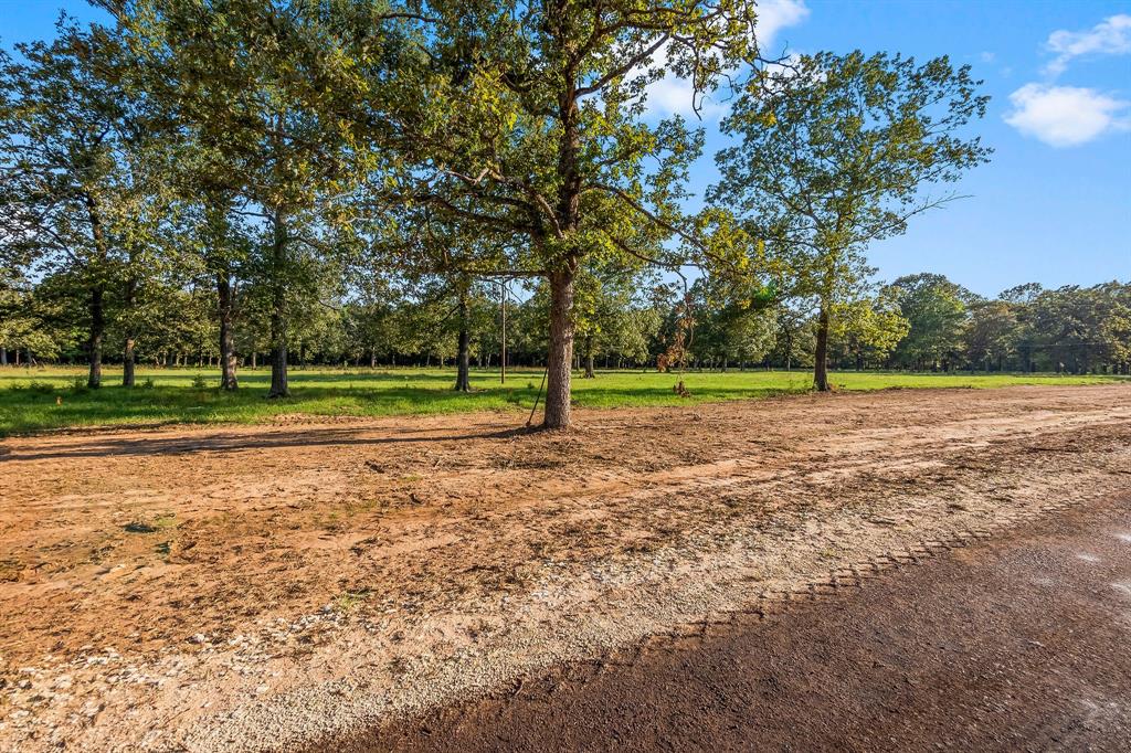 Lot 17 Alans Memorial Lane, New Waverly, Texas image 3