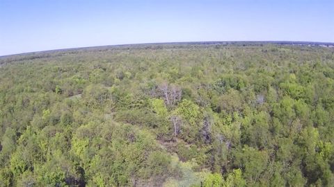 Vacant Land For Sale - TBD Fm 71 East<br/> Franklin County, Talco, TX 75487