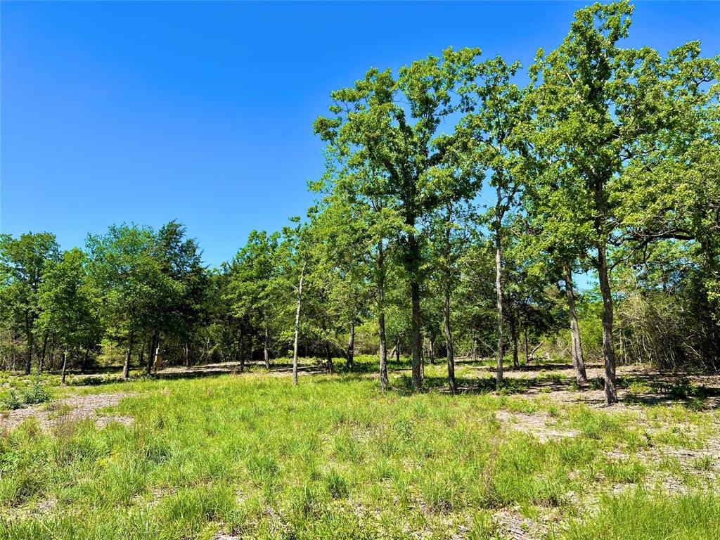 357 Oak Hollow, Caldwell, Texas image 6
