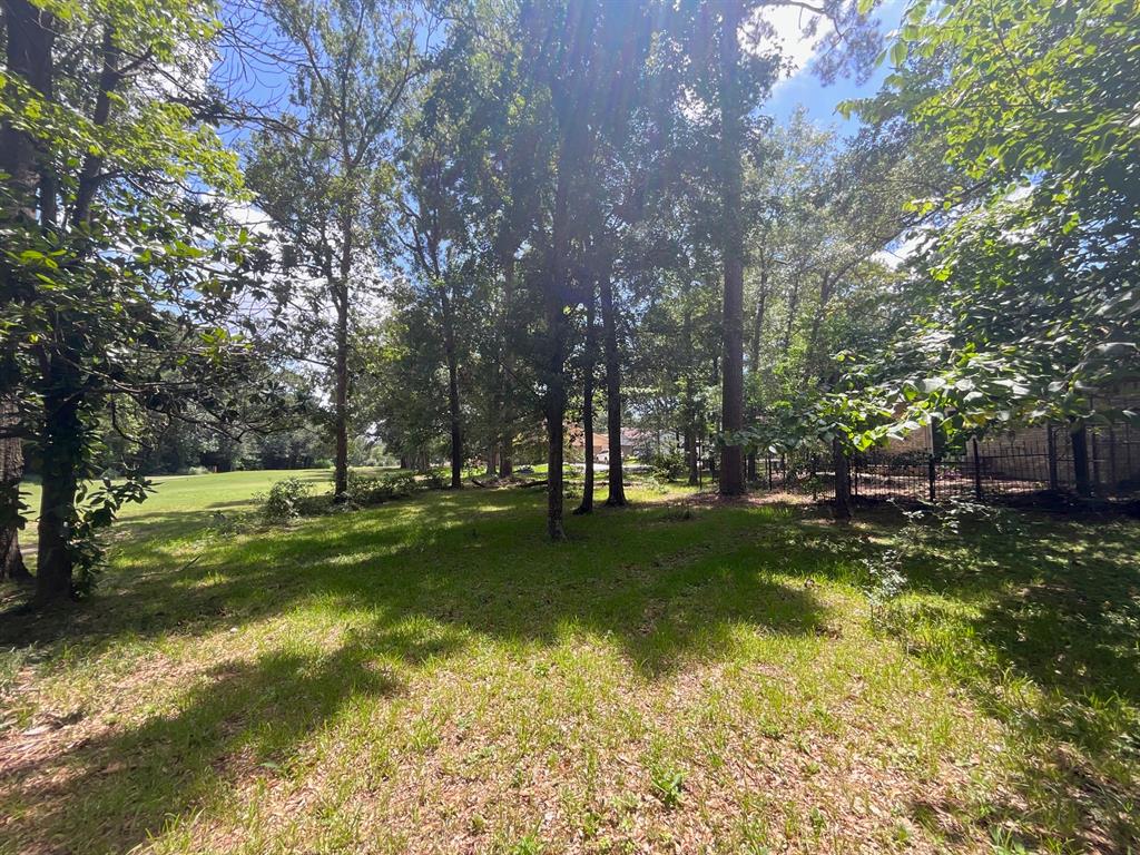 119 Sun City Lane