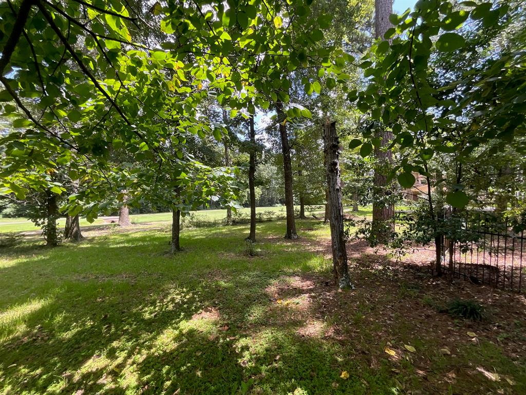 119 Sun City Lane