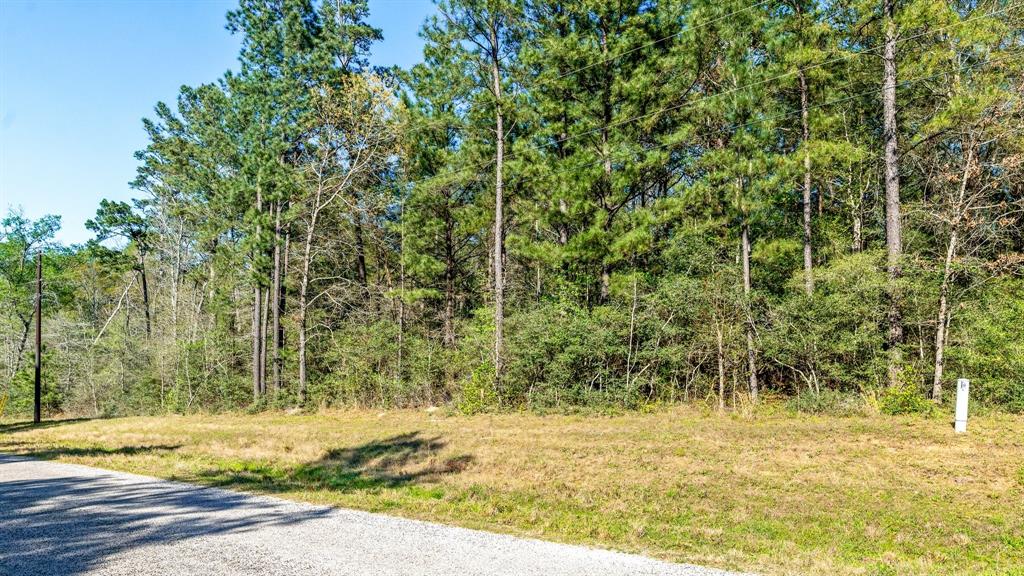 10-14-3B Winchester Road, Huntsville, Texas image 4
