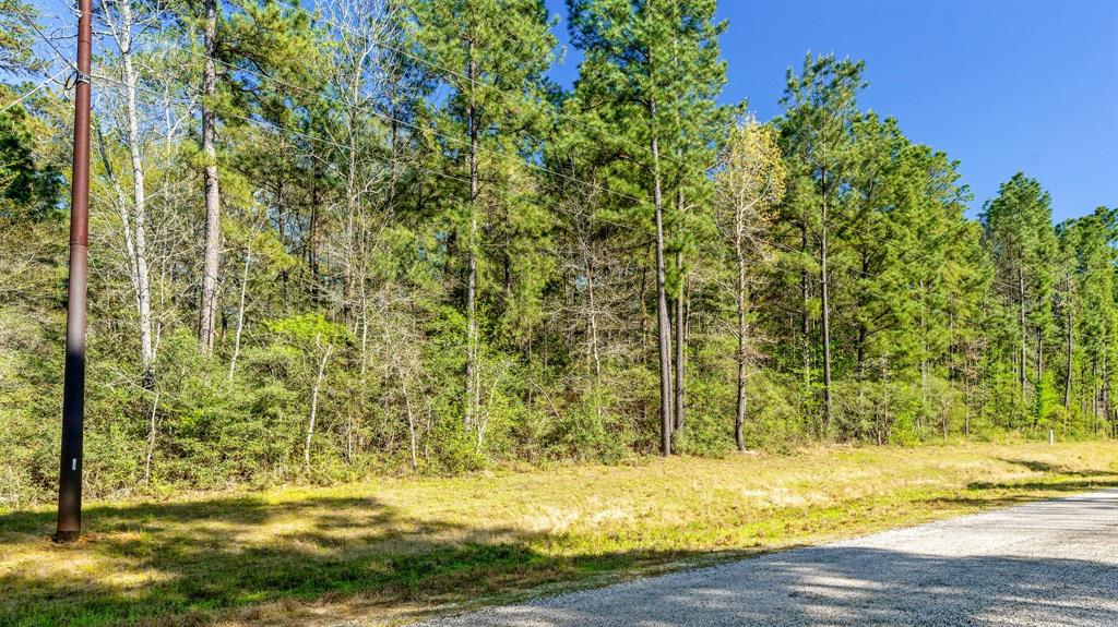 10-14-3B Winchester Road, Huntsville, Texas image 3